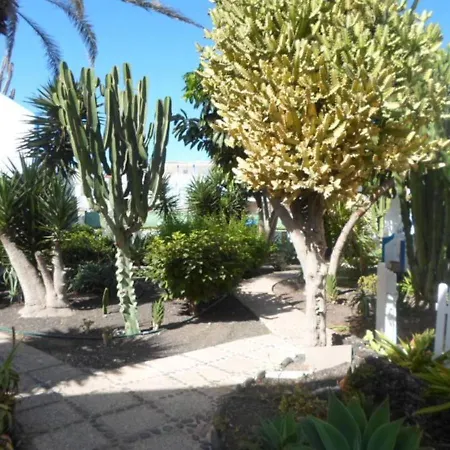 Apartamento Waikiki A Dos Pasos De La Playa De Appartamento Corralejo